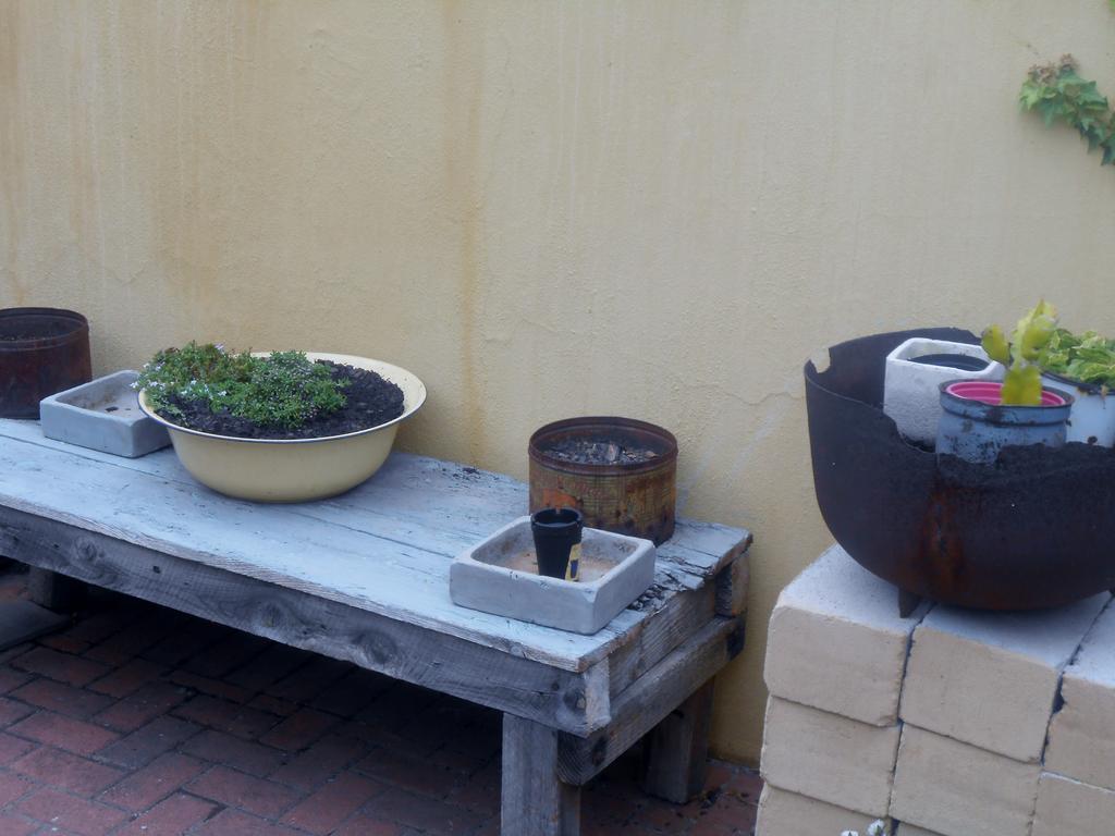פורט אליזבת' Toscana Cottage מראה חיצוני תמונה